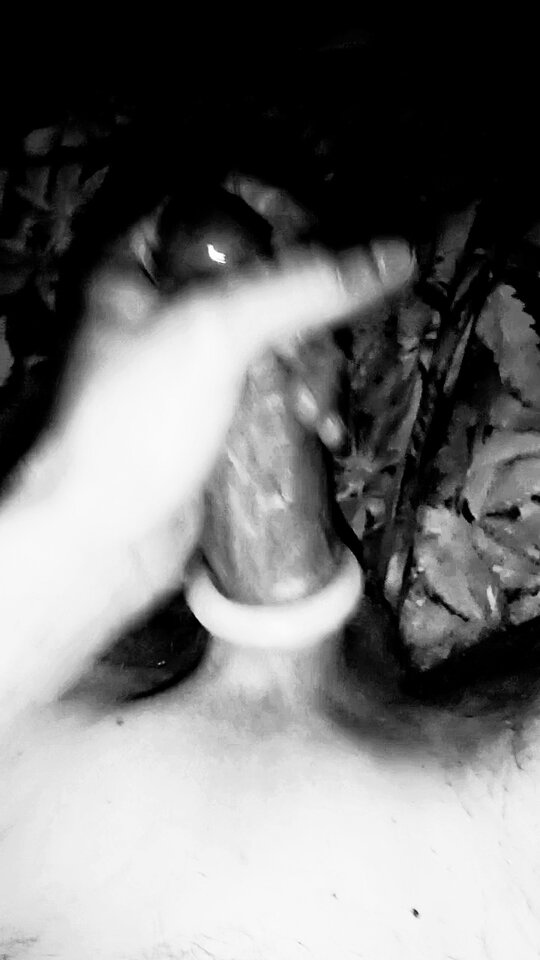 IMG_20240420_022423.jpg - Siupp