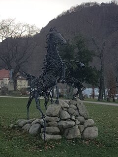 IMG_20241204_083315.jpg