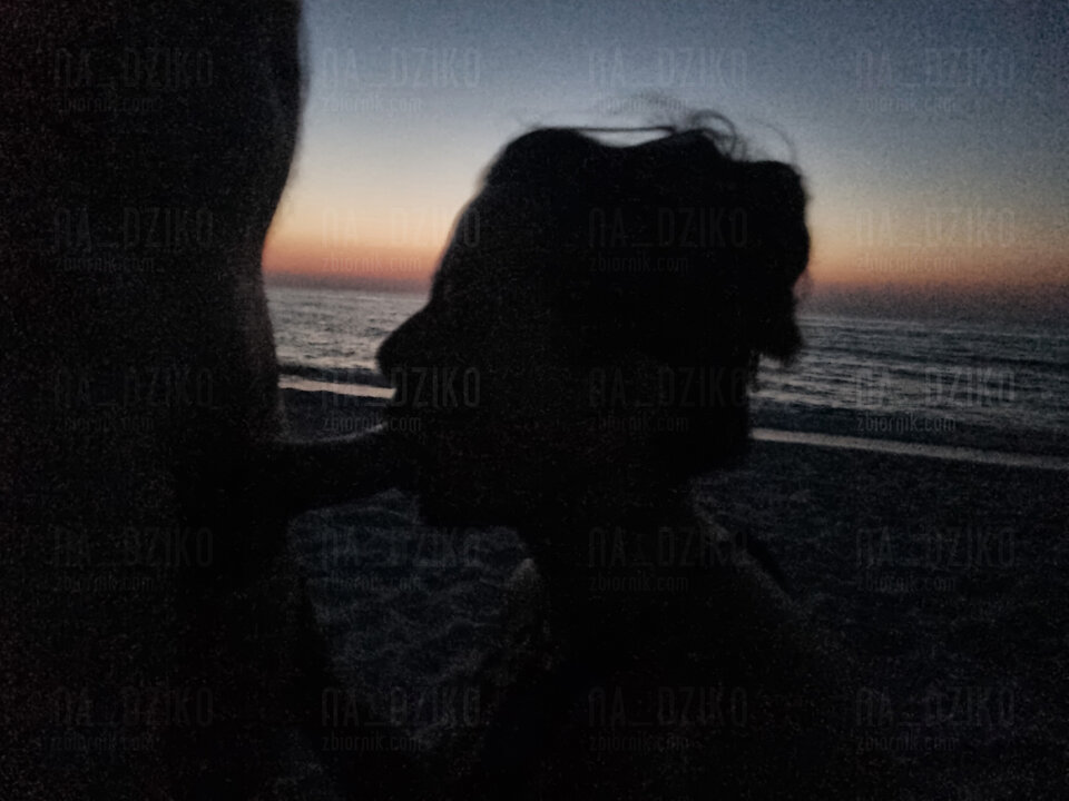 1000015009.jpg - Na_dziko