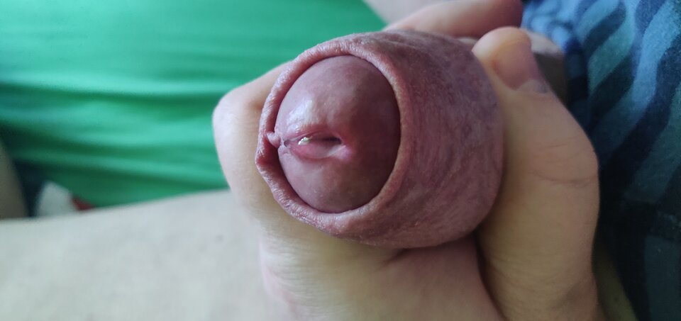 IMG_20241220_110509.jpg - fajnykutasek25