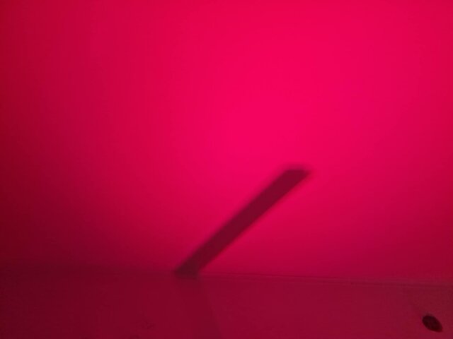 smoczekkk696