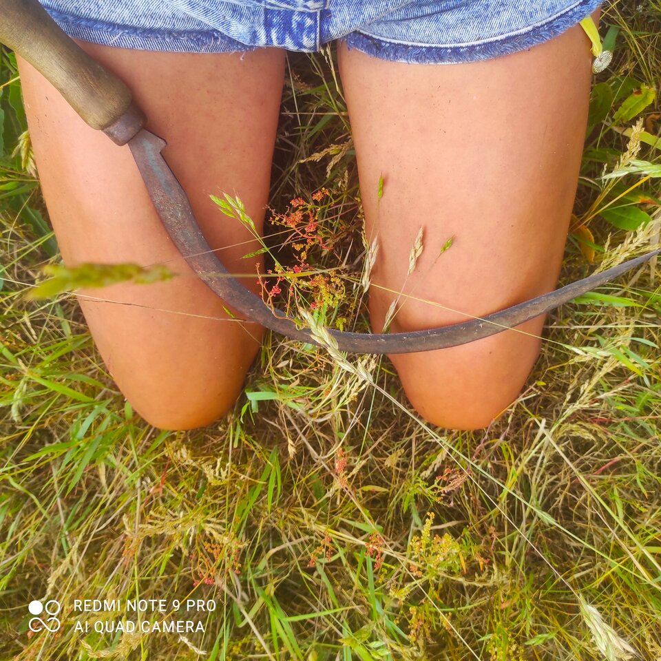 IMG_20241219_205627.jpg - Pszczolka78