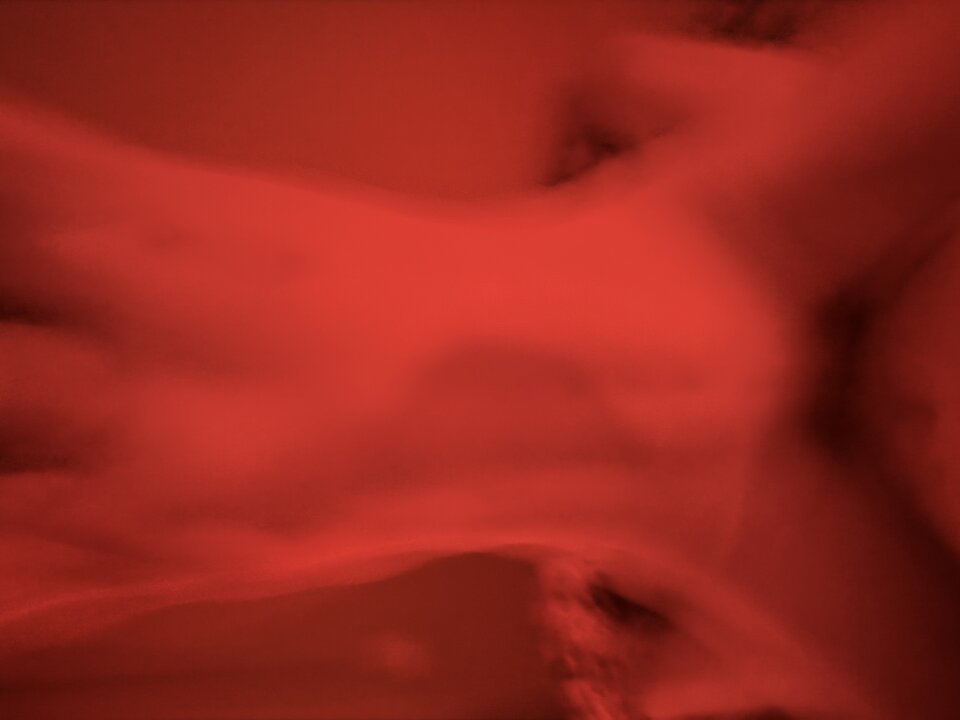 IMG_1479.jpeg - TripleJ