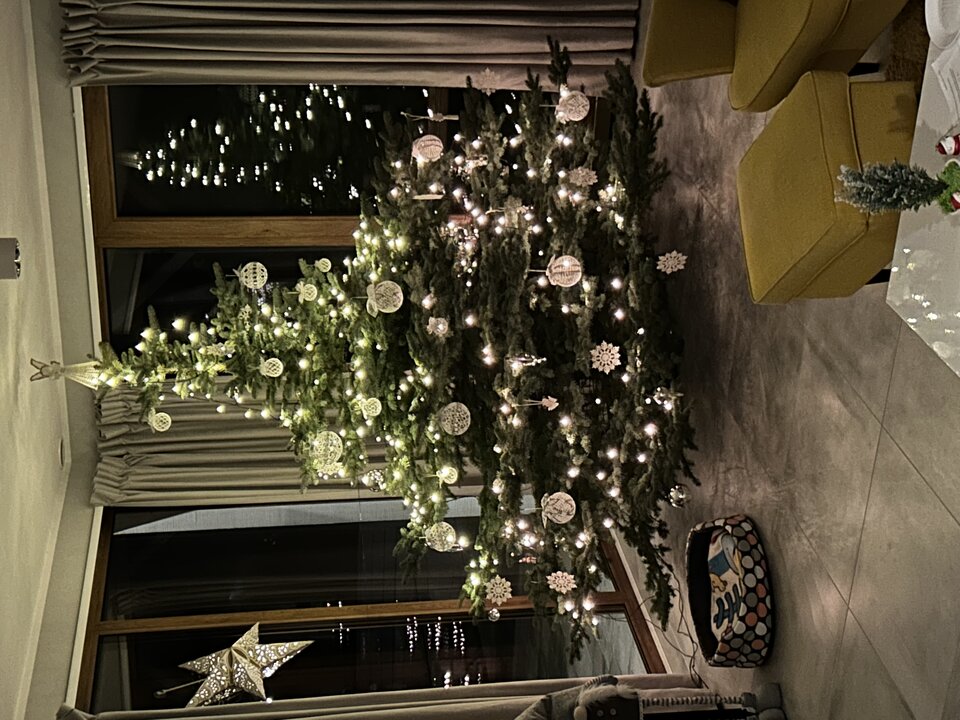 IMG_9173.jpeg - 2407muflon