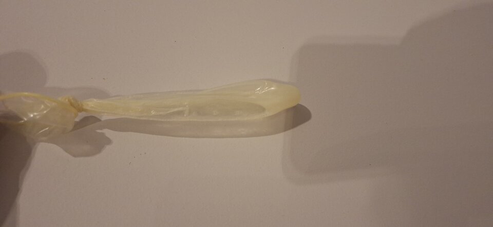 1000014499.jpg - gomez13