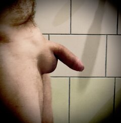 IMG_2496.jpeg