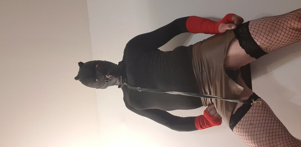 20241222_222630.jpg - szukacz42