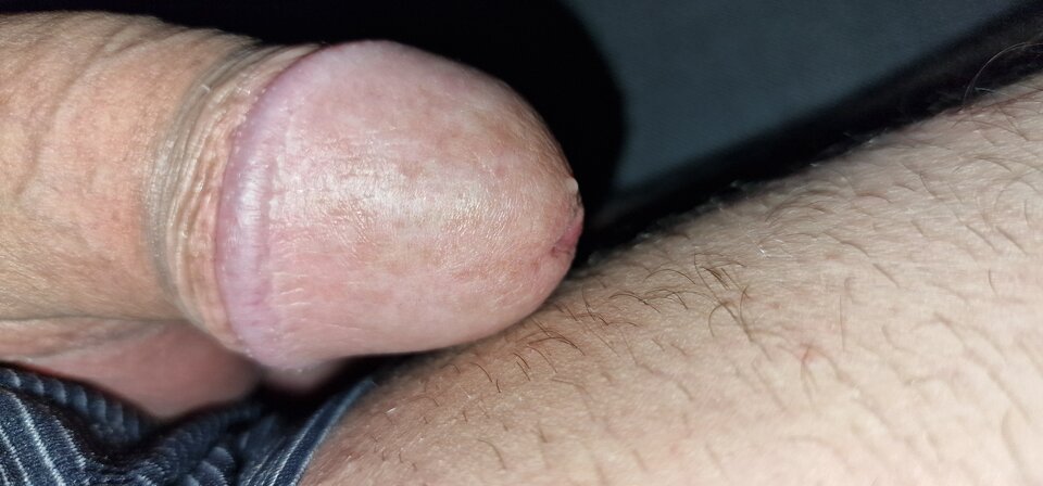 17349031084174089168774382387135.jpg - robin266