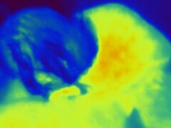 Lód w termowizji 2
