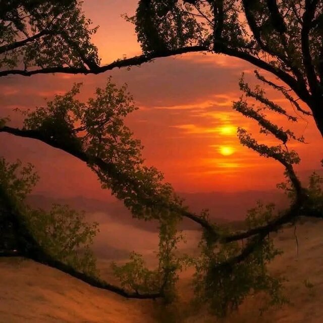 IMG_0295.jpeg - kingcrimson