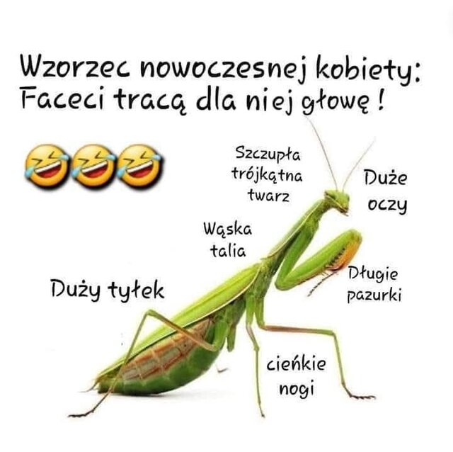 1000008352.jpg - Piro83