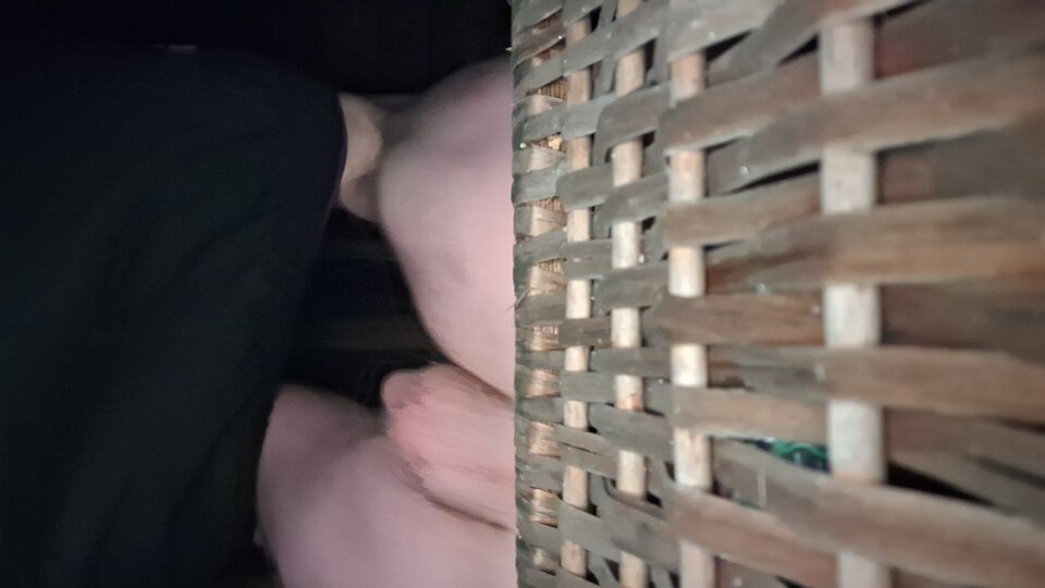 1000034289.jpg - PorobionyBi