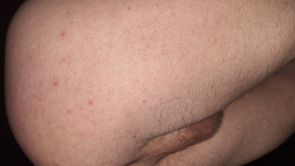 1000034288.jpg - PorobionyBi