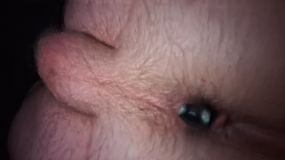 1000034290.jpg - PorobionyBi