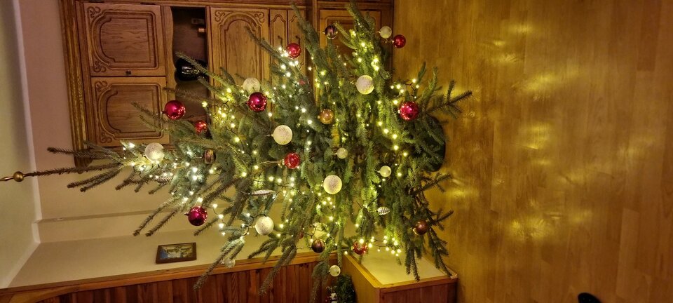 20241223_204402.jpg - Adam3134