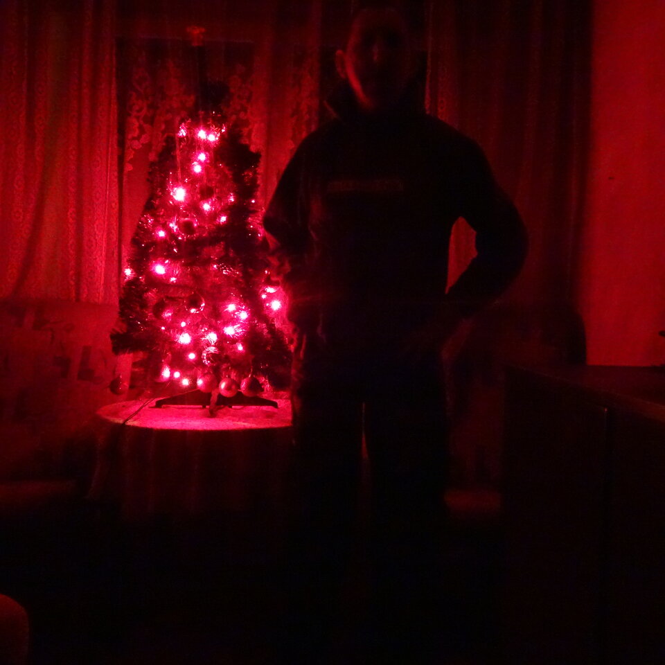 DSC03816.JPG - bojman8