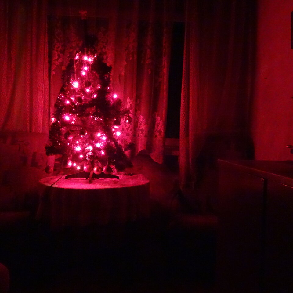 DSC03815.JPG - bojman8