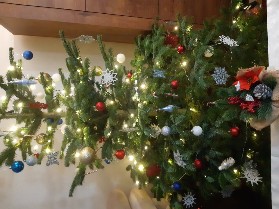 20241225_075102.jpg - Franekzewsi