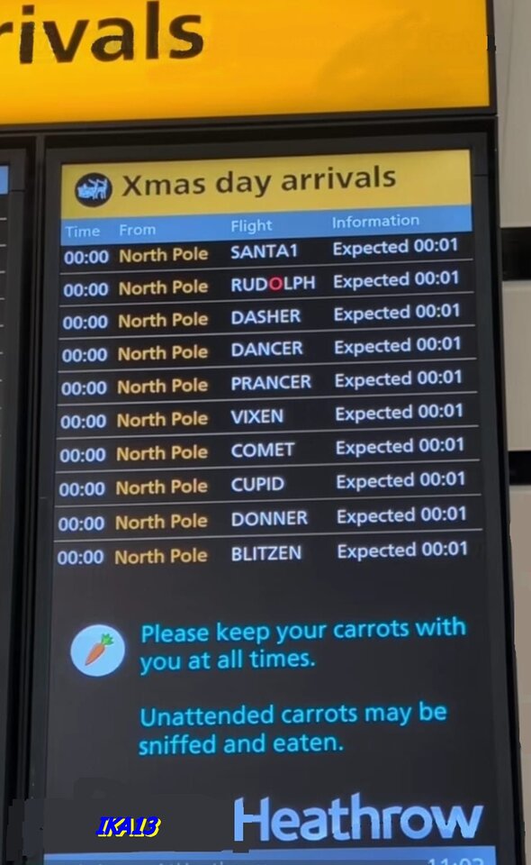 IMG-20241224-WA000.jpg - ika13