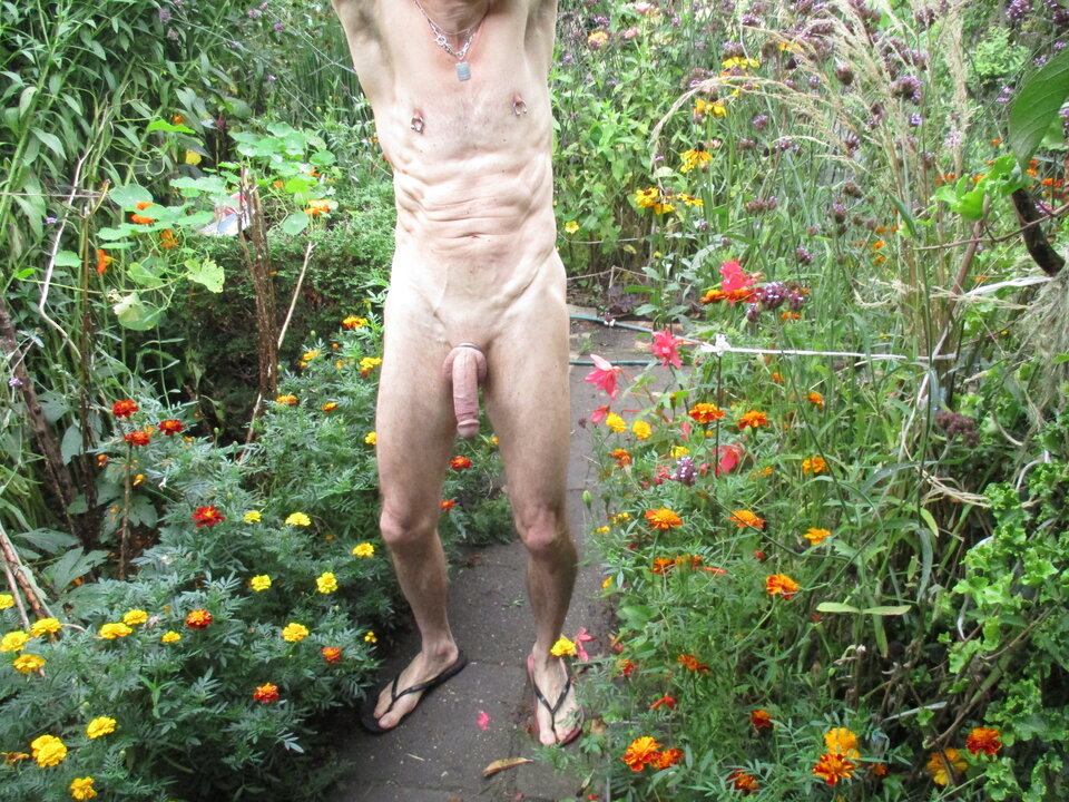 IMG_8866.JPG - gawel35