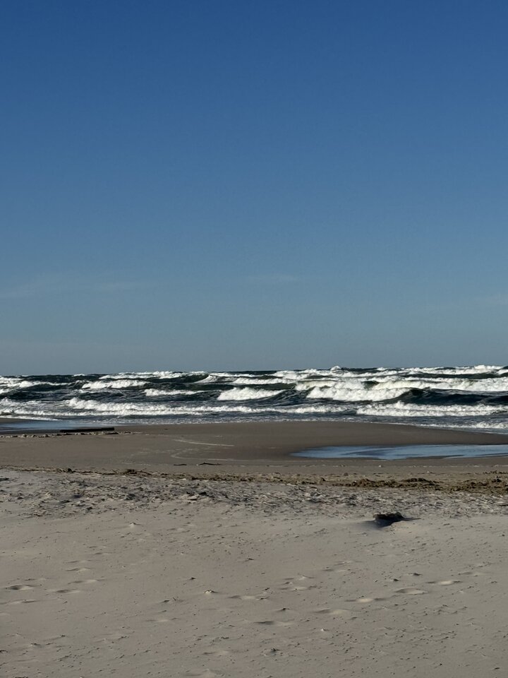 IMG_1793.jpeg - Handmade