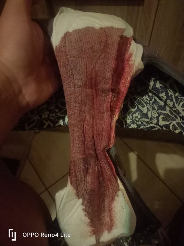 rasowa_suka45