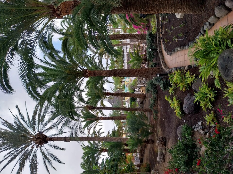 1000001325.jpg - humorsex