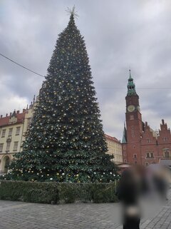 Wesołych Świąt Bożego Narodzenia 🎄⛄❄️🎄