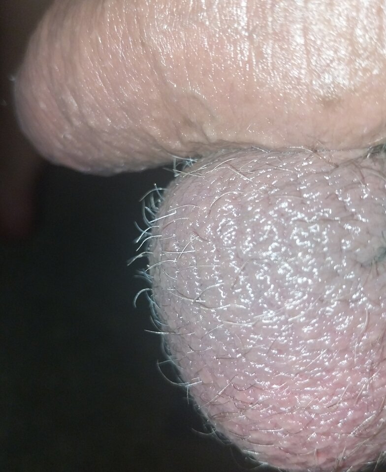 1000005652.jpg - kudlaty12810