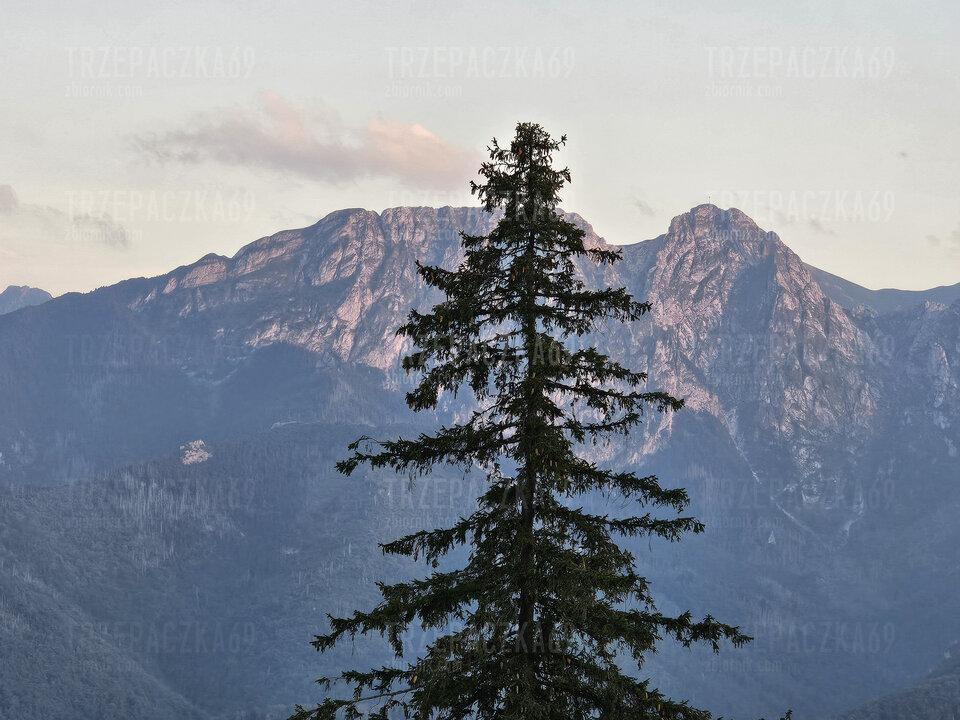 1000026280.jpg - Trzepaczka69