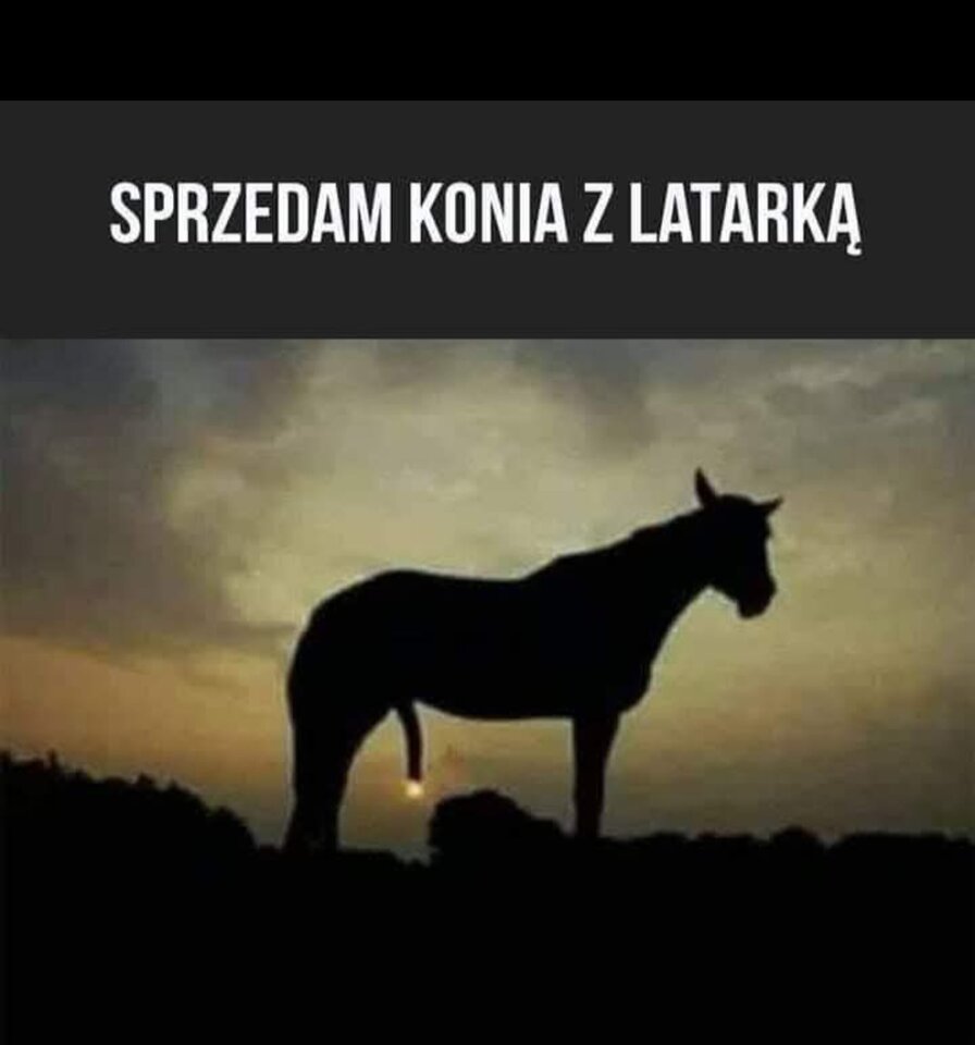 Hej. trochę spóźnione , ale mam na sprzedaż całkiem fajnego - Zbiorniczek1243