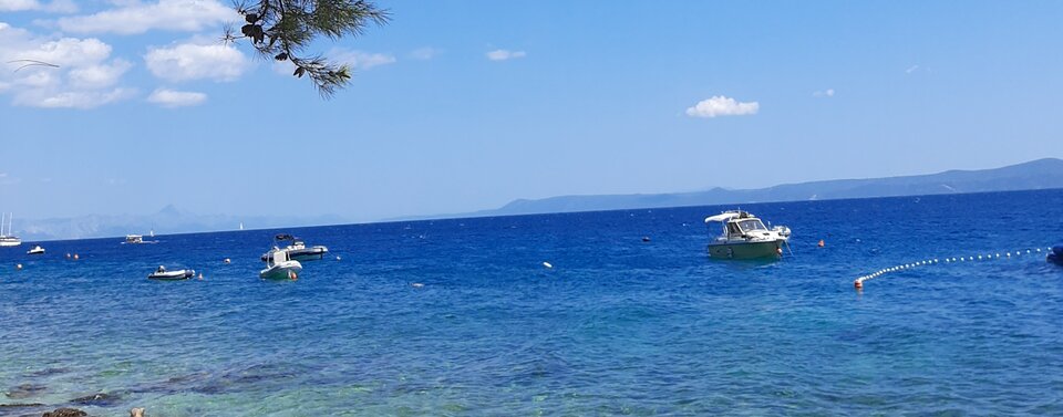 Wakacyjki 😊🍹⛱ - Zuziakotek7