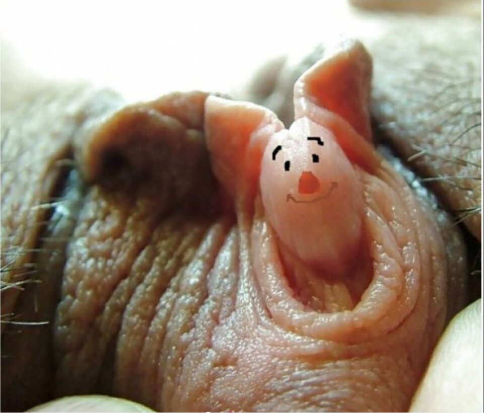 L 1 1 .jpg - kocurekAndy