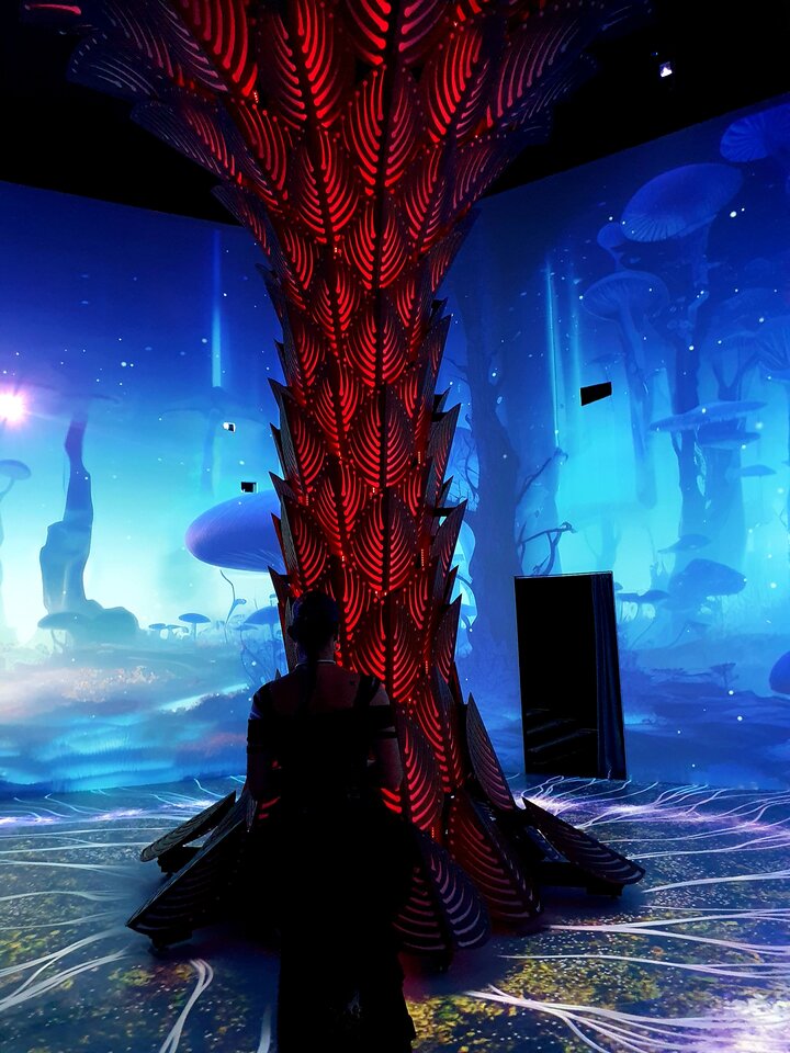 20231005_165144.jpg - Youtuberzy