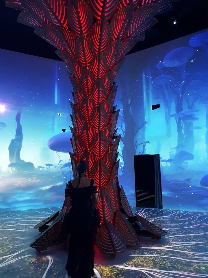 20231005_165145.jpg - Youtuberzy