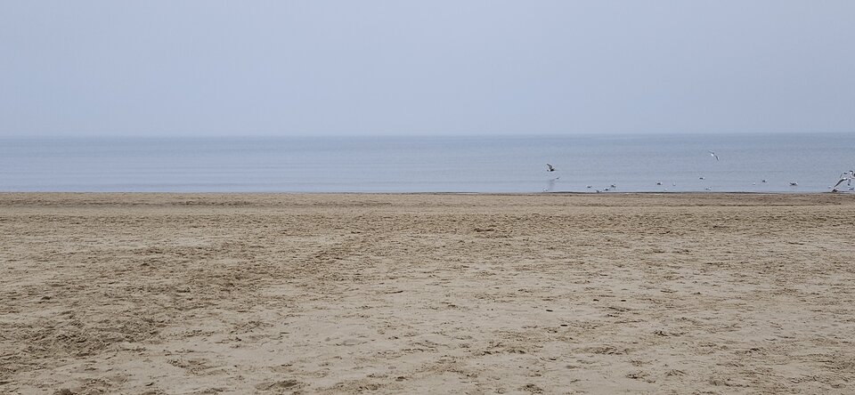 1000026172.jpg - Jacques666