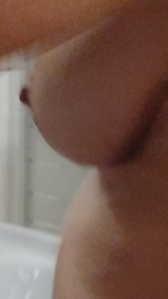 IMG_20241227_065839742_MP.jpg - TomoiMery