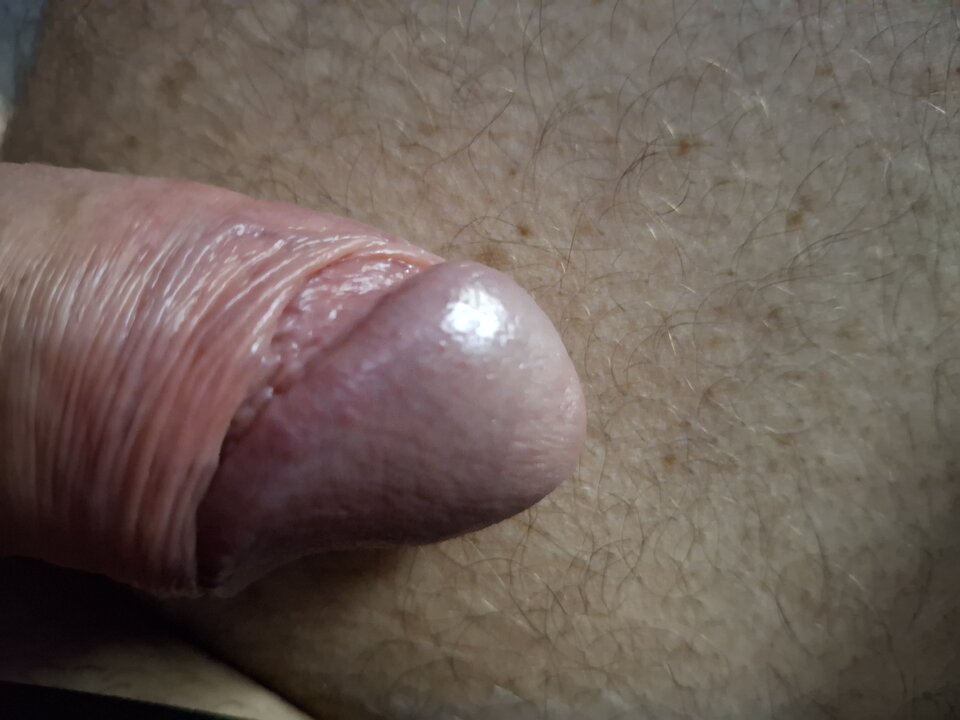 2024-12-2708.52.477730926407141930019.jpg - mar_nn40