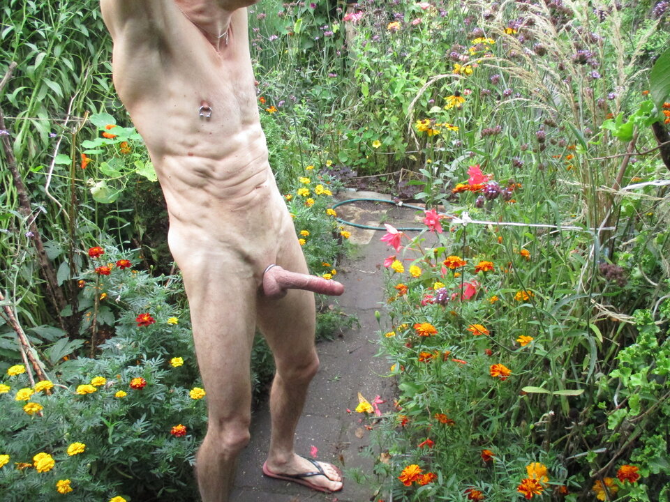 IMG_8870.JPG - gawel35