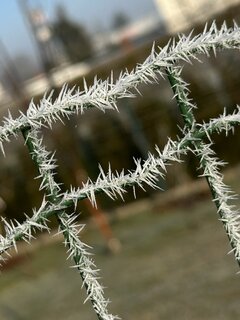 IMG_2783.JPEG