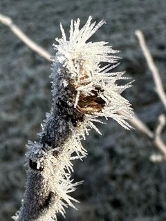IMG_2784.JPEG
