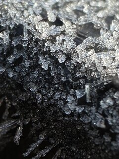 IMG_2787.JPEG