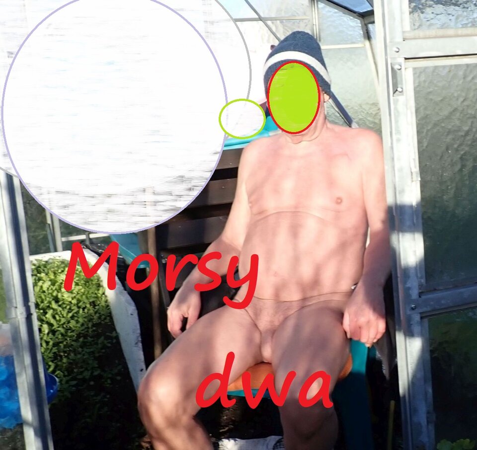 W jesiennym słoneczku. II - Morsy_dwa
