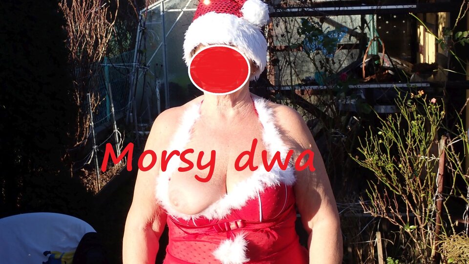 W zimowym słoneczku. - Morsy_dwa