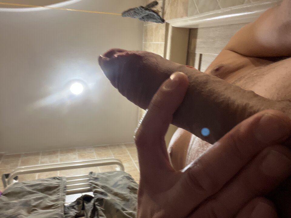 image.jpg - pawciooooch