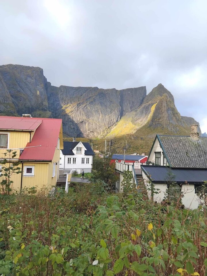 Messenger_creation_E80B4EFC-2673-47A8-84F4-00E6E8BA01A0.jpeg - hypns