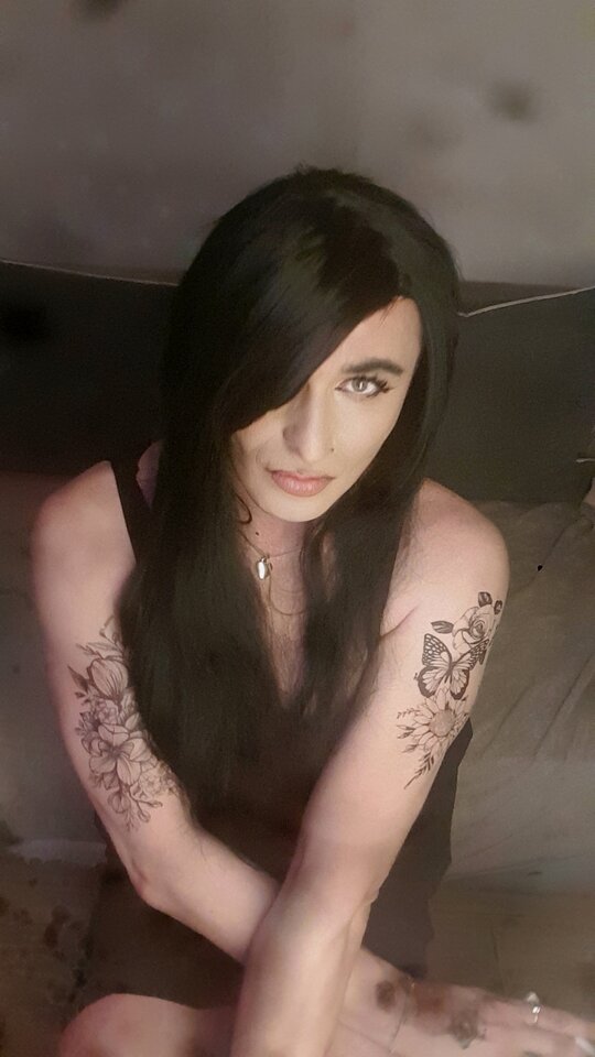 20241228_041600.jpg - TransKitty