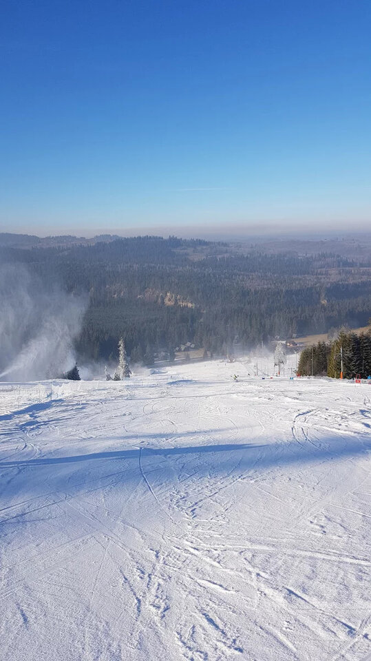 1000007291.jpg - Peter_44