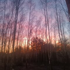 W życiu ważne są tylko chwile... Jak ten widok 👁️👁️