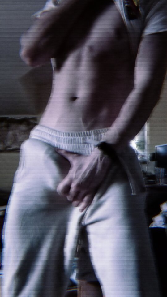 1000001576.jpg - White_Albatross01